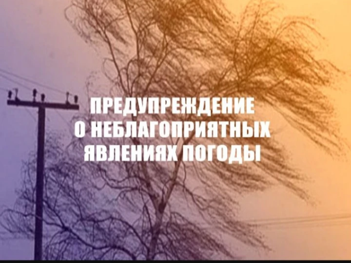 Прогнозируются неблагоприятные метеоявления: 30-31 июля 2026г..